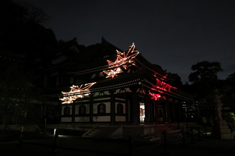 IMG_80140113