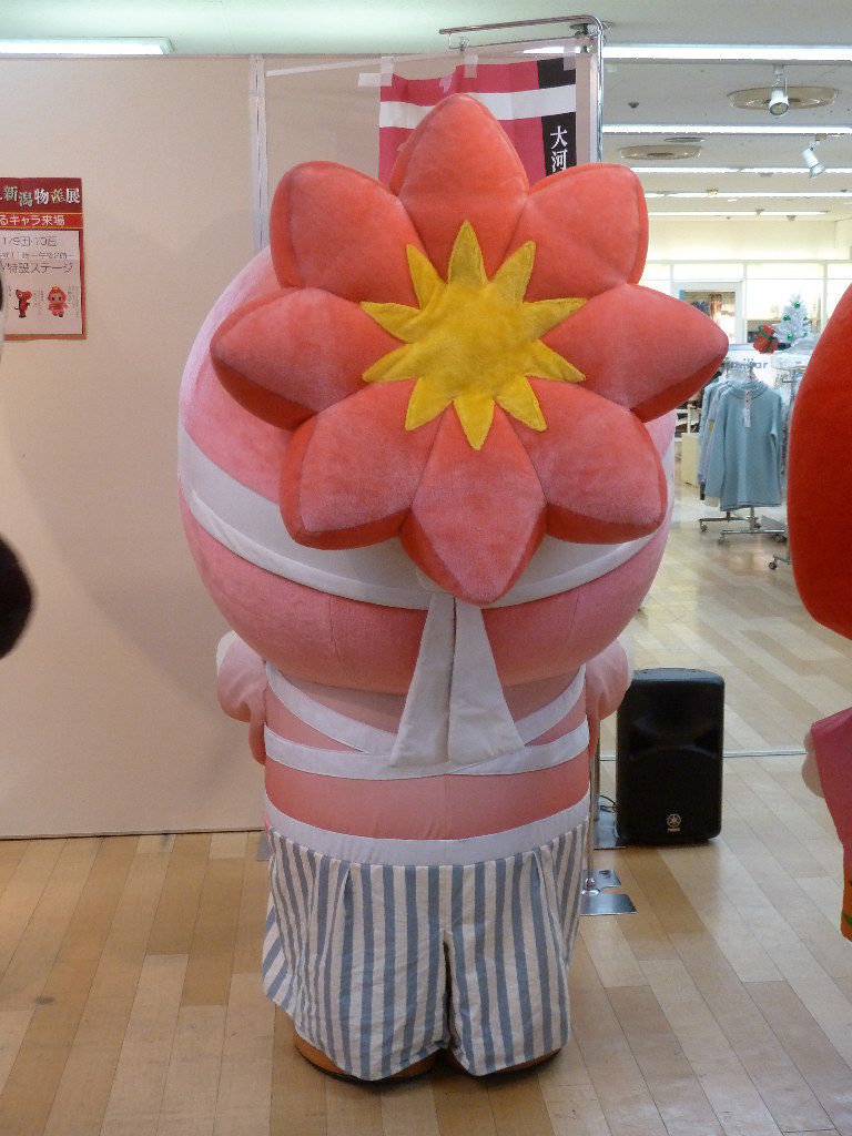 イメージ 3
