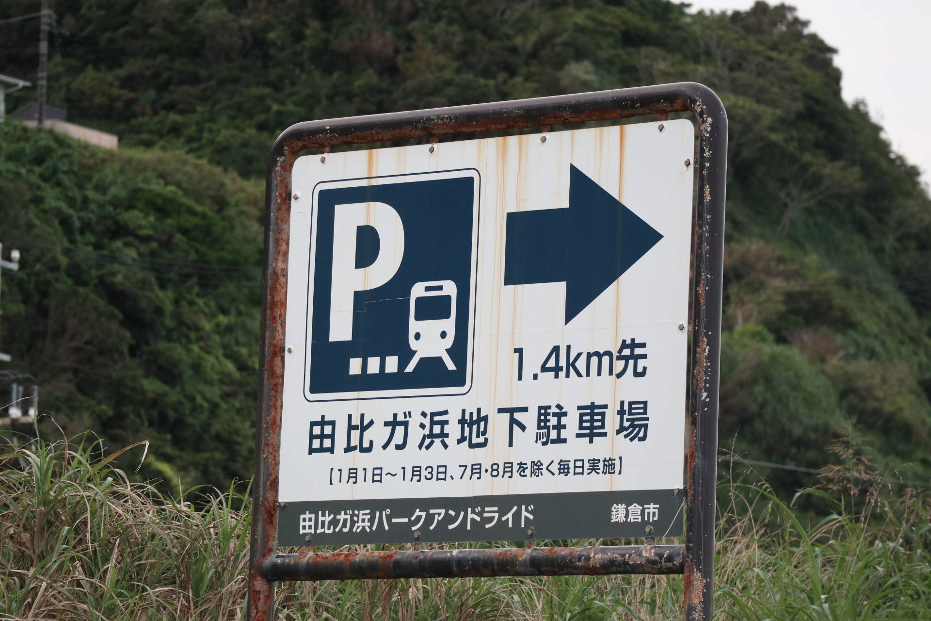 江ノ電に乗って長谷 稲村散歩 稲瀬川でカニ探し 休日自衛隊ライブドア基地 Jhsdf Livedoor Base