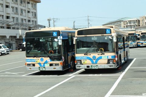 IMG_81490078