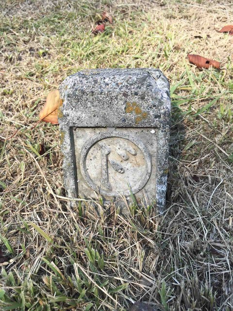 86261491-6B6C-41FC-98CC-844C7E2B4A6E