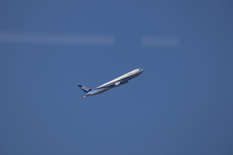 IMG_78080040
