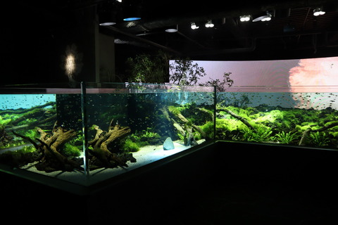 IMG_69450075