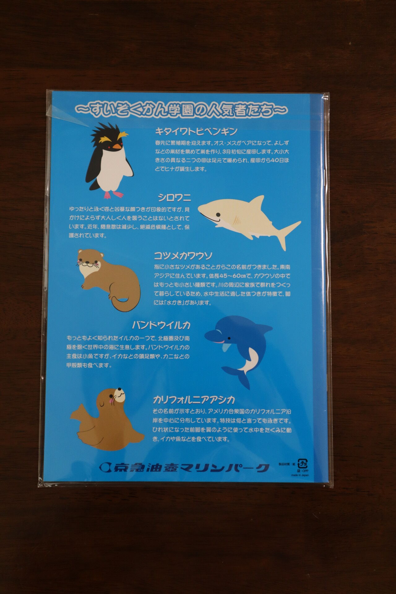 年間ランキング6年連続受賞 キタイワトビペンギンの羽根キーホルダー 京急油壺マリンパーク キャラクターグッズ Bindascollection Com