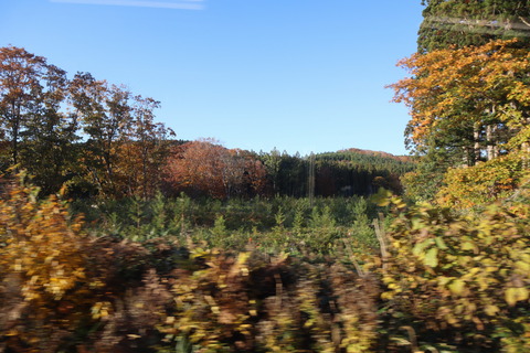 IMG_90080124