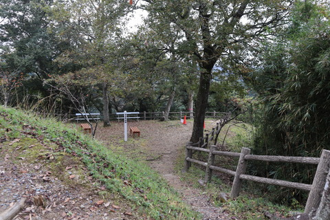IMG_47910172