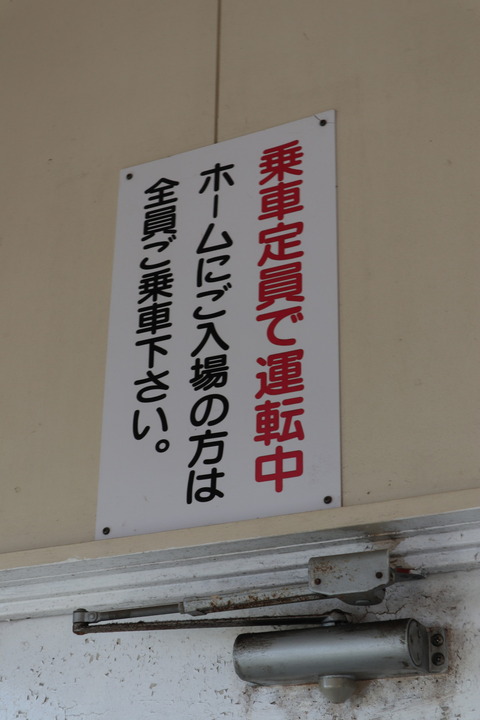 IMG_19310166