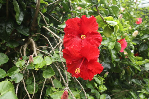 IMG_35780205