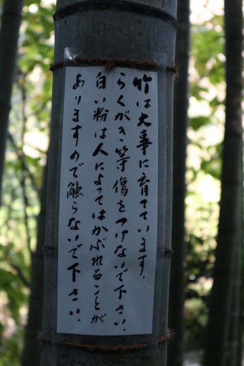 IMG_66840140