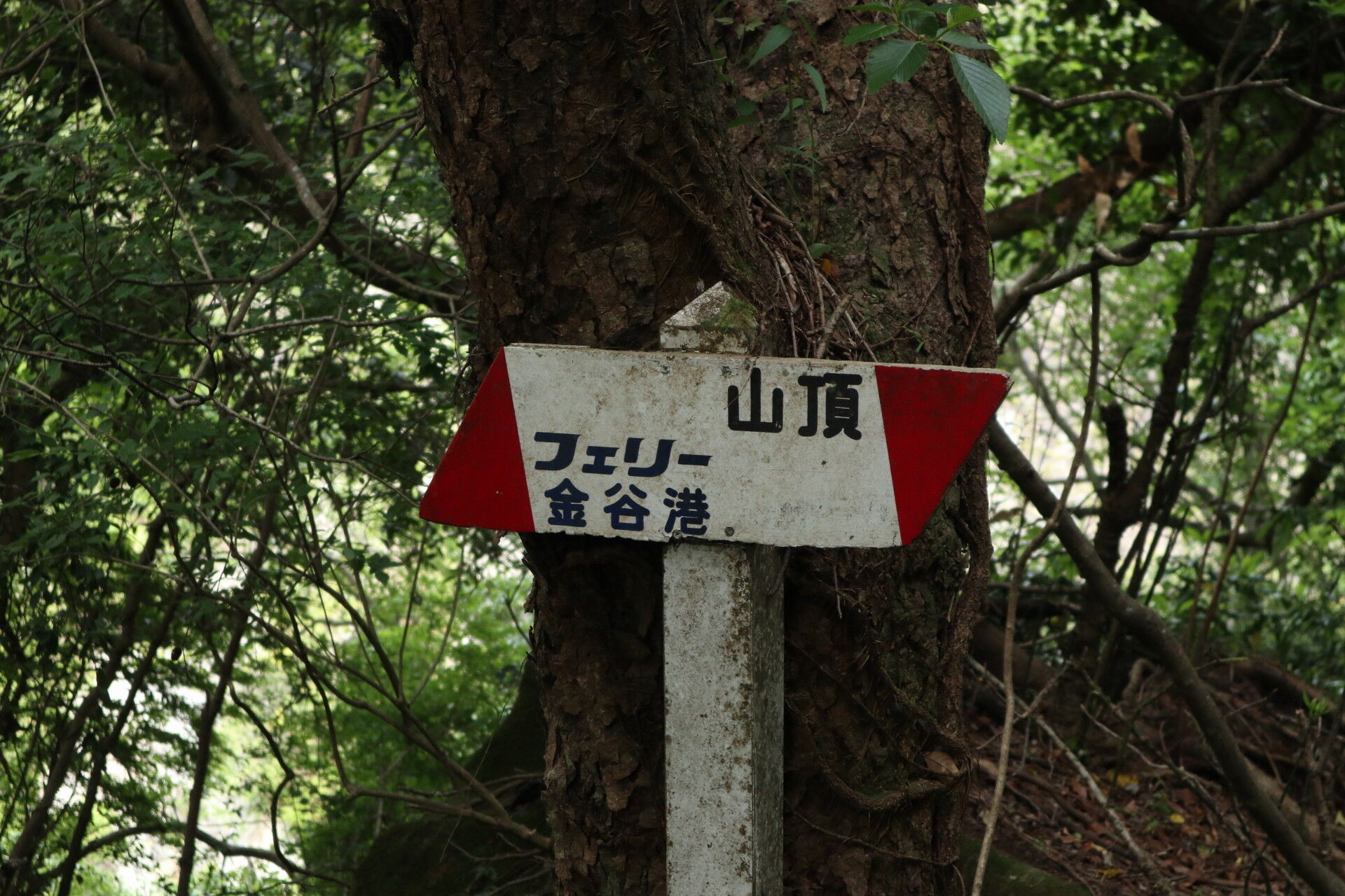 鋸山経済復興登山記録 その3 石切場の遺跡 車力道を下る 休日自衛隊ライブドア基地 Jhsdf Livedoor Base 鋸山経済復興登山記録 その3 石切場の遺跡 車力道を下る 休日自衛隊ライブドア基地 Jhsdf Livedoor Base