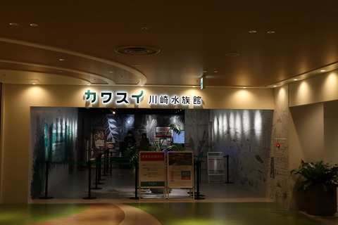 IMG_67280002