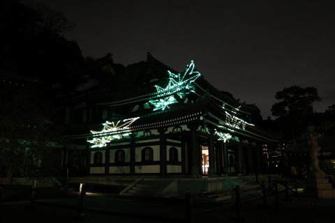 IMG_80110112