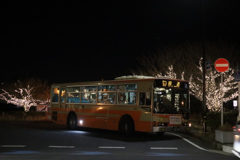 IMG_57540005