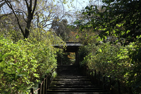 IMG_65540075