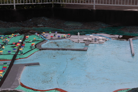 IMG_80080021