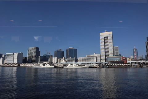 IMG_77650021