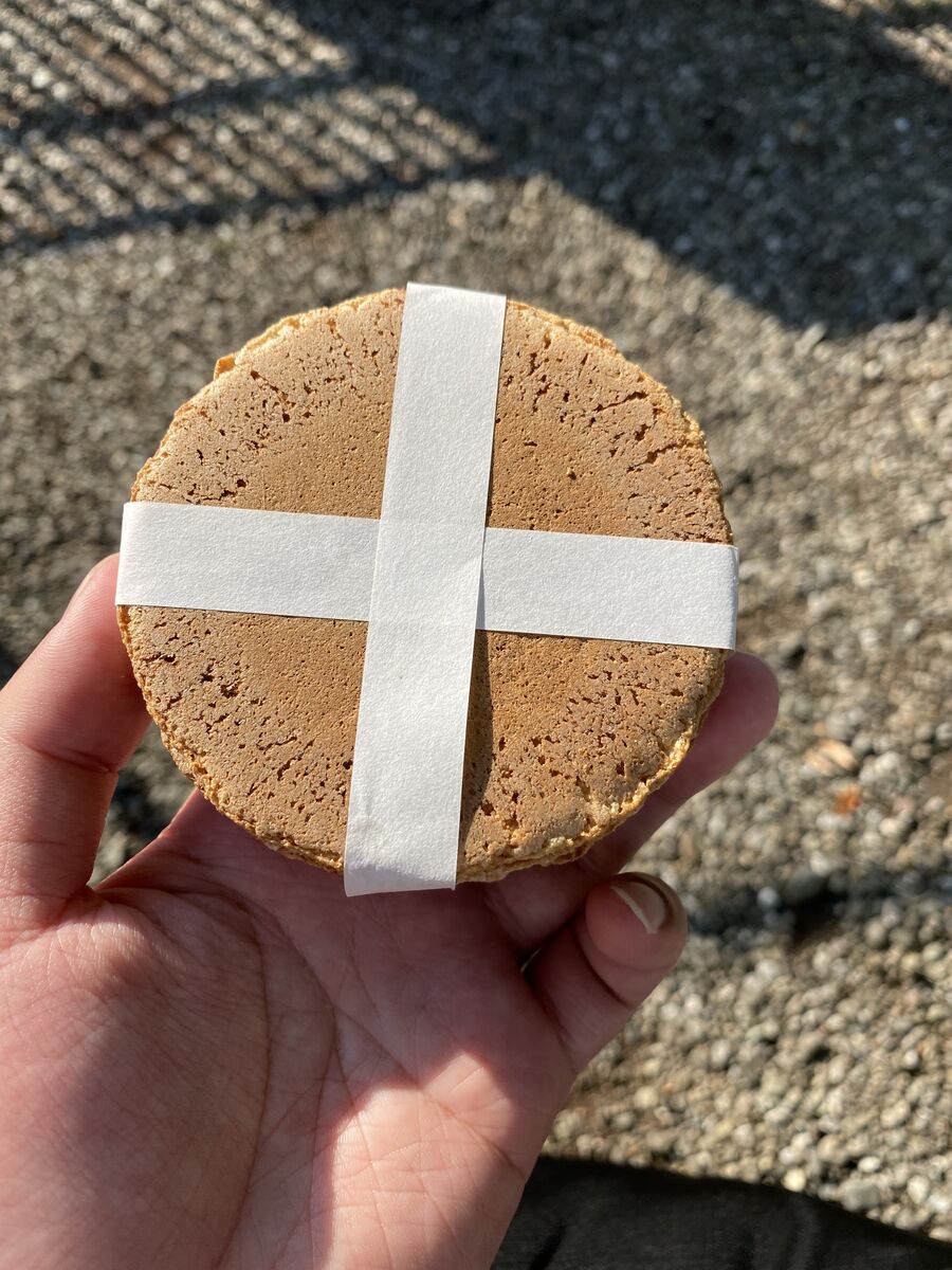 ドリーム交通廃線跡探訪記4 影取 ドリームランド 休日自衛隊ライブドア基地 Jhsdf Livedoor Base