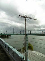 ���ƥ饤�ȥ���ƥ�