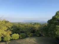 IMG_2835