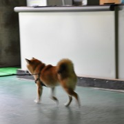 20191007_115509