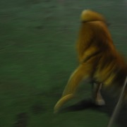 20191007_115427