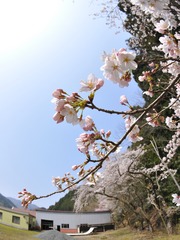 20190408_225834