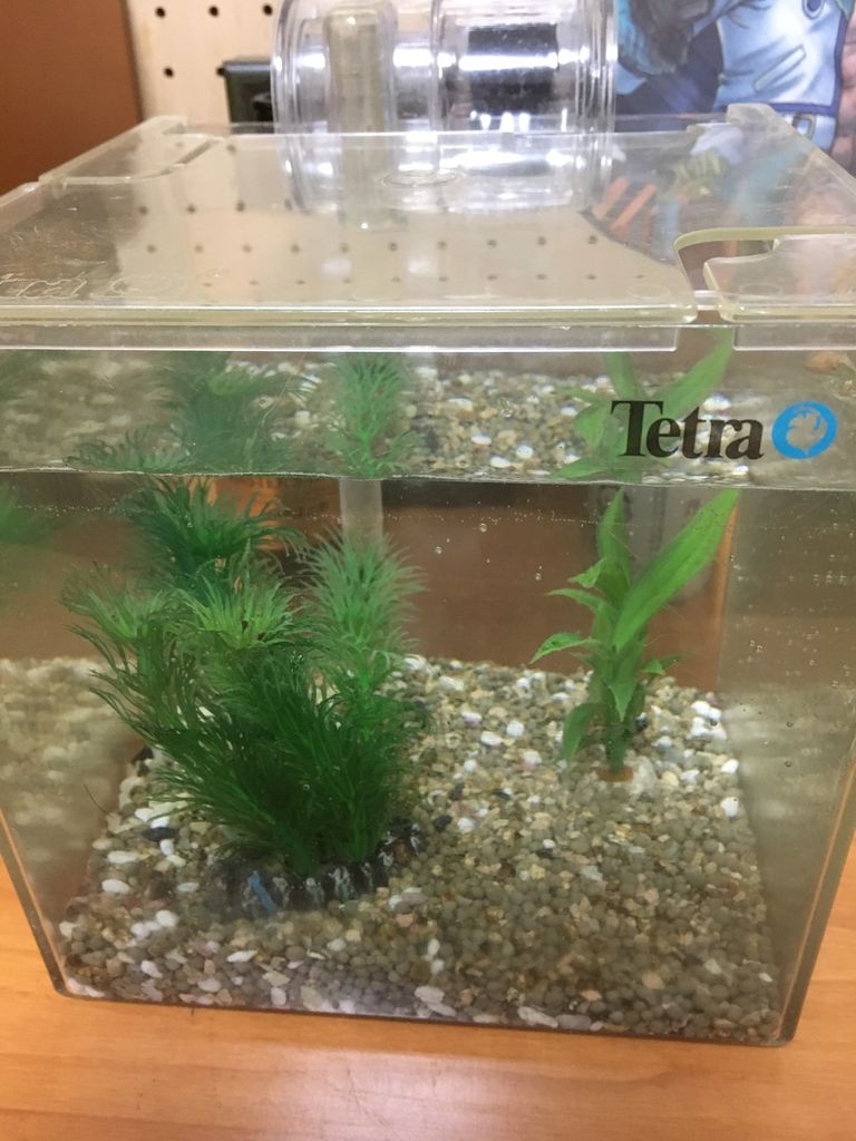 水槽準備 兎にも角にも ブロブログ 水槽準備 兎にも角にも ブロブログ