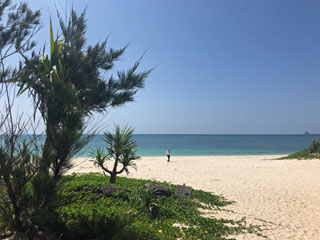 今日の天気
