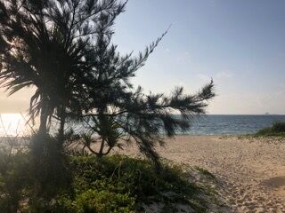 今日の天気