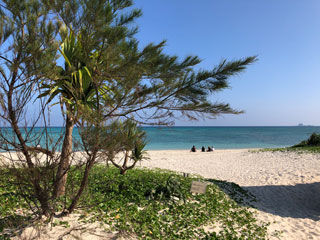 今日の天気