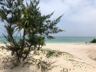 今日の天気