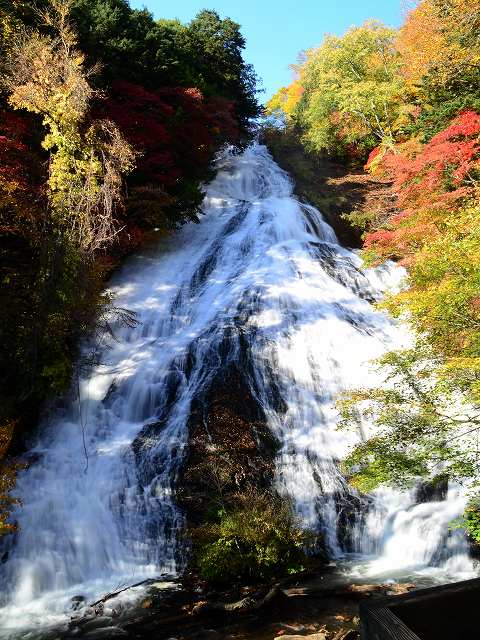 紅葉 10月下旬 日光 湯滝 Japan007 全国撮影スポット 撮影ポイントガイド 紅葉 10月下旬 日光 湯滝 Japan007 全国撮影スポット 撮影ポイントガイド