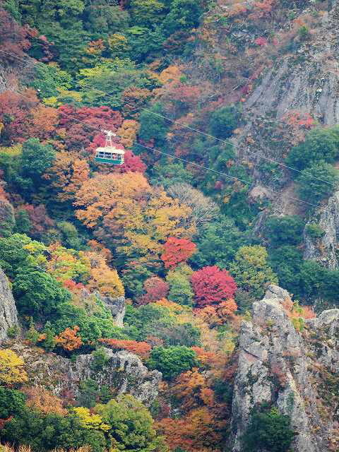 紅葉 11月中旬 寒霞渓 瀬戸内海小豆島 Japan007 全国撮影スポット 撮影ポイントガイド 紅葉 11月中旬 寒霞渓 瀬戸内海小豆島 Japan007 全国撮影スポット 撮影ポイントガイド