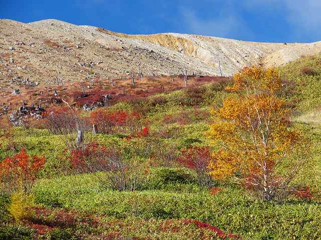 紅葉 10月初旬 草津白根山 芳ヶ平 群馬 長野県境 Japan007 全国撮影スポット 撮影ポイントガイド