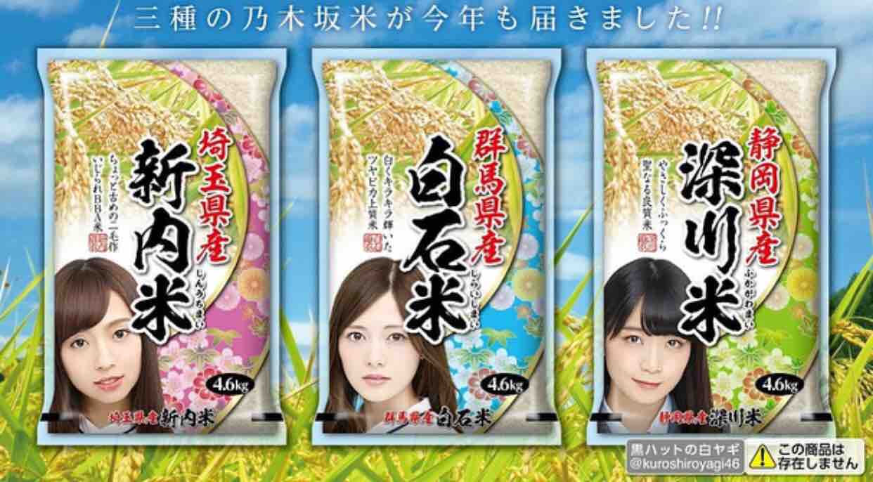 センス 迷彩 其ノ参 御侘愚之館