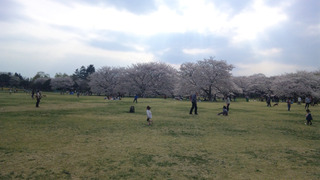 DVC00010