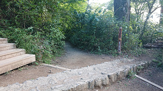 v5