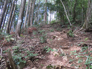 kami3