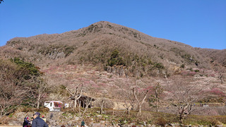 k1