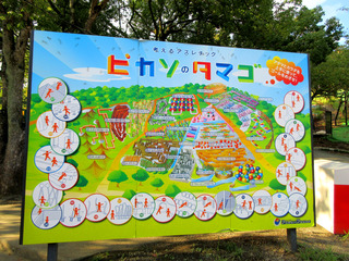 ピカソ地図