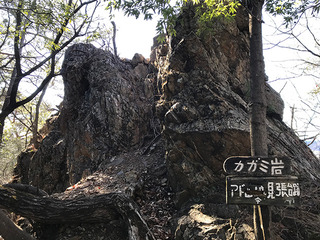 v5