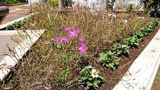 v10
