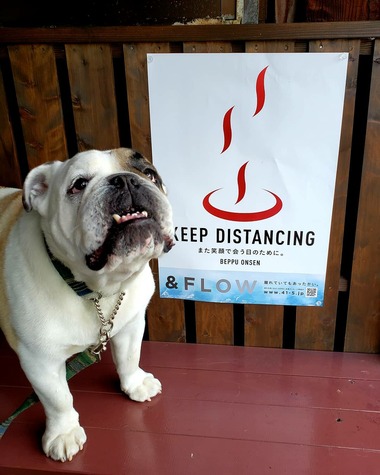 IMG_20200502_222157_186