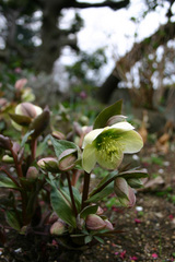 d1f75a5d.jpg