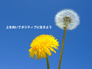 ph_158692