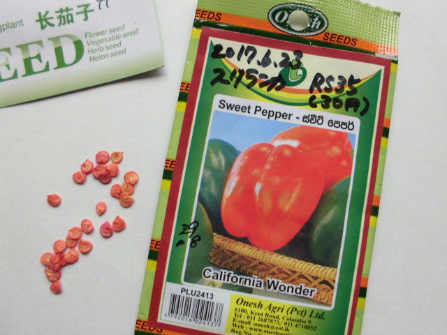 ナスとピーマンも種から育てます じいじの野菜づくり ナスとピーマンも種から育てます じいじの野菜づくり