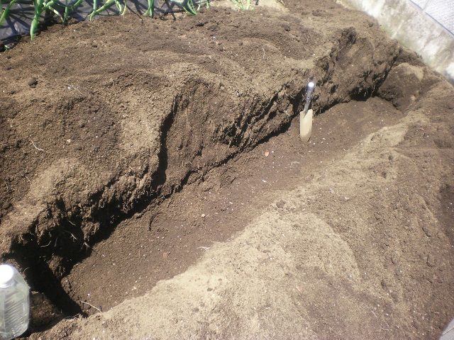 トマトの畝の土作り じいじの野菜づくり