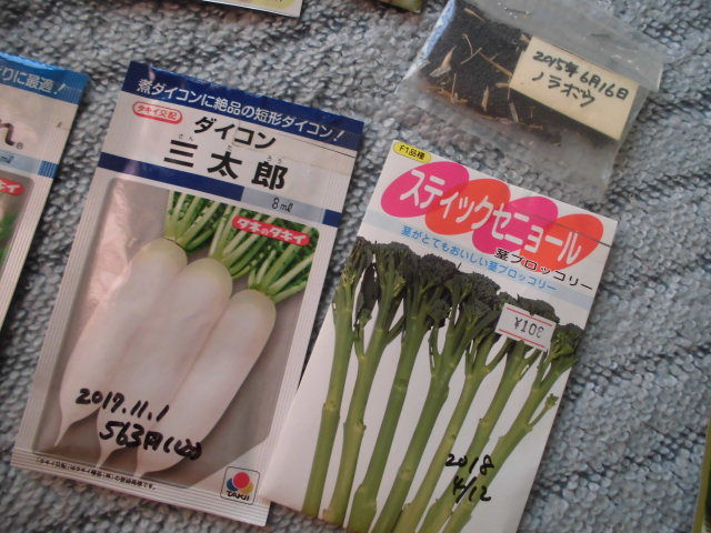 秋まき野菜の選定 じいじの野菜づくり