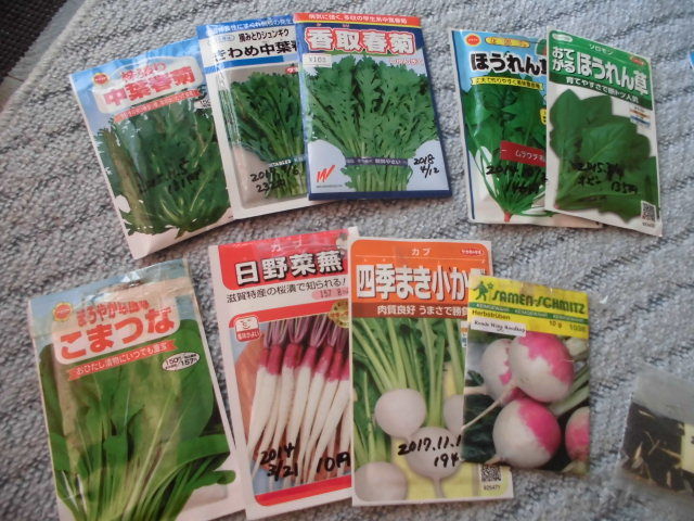 秋まき野菜の選定 じいじの野菜づくり 秋まき野菜の選定 じいじの野菜づくり