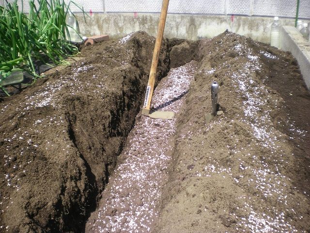 トマトの畝の土作り じいじの野菜づくり